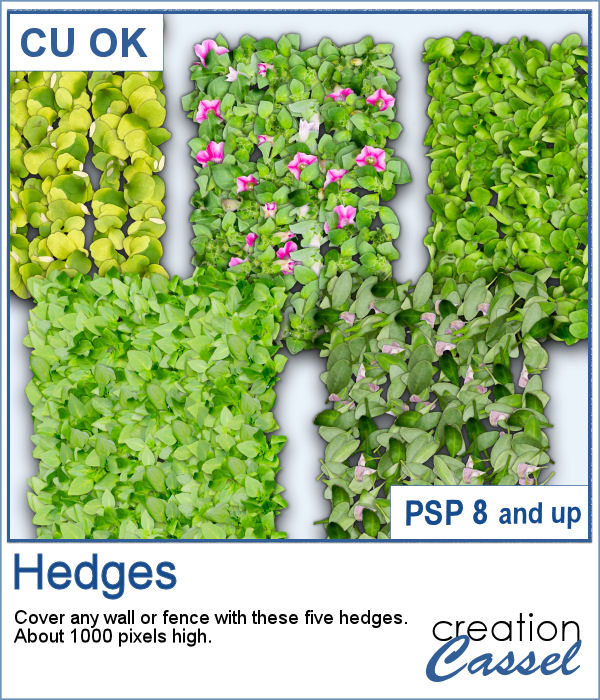 Hedges picture tubes for PaintShop Pro