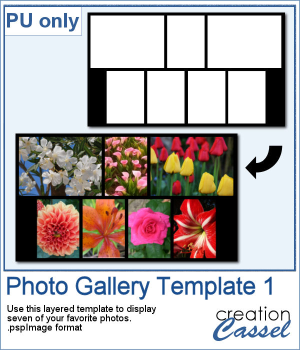 Photo Gallery template in pspimage format