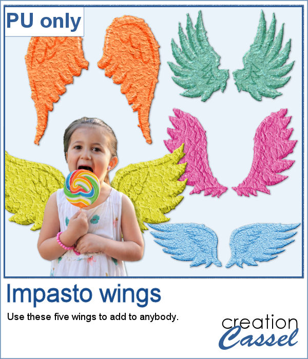 Impasto wings in PNG format