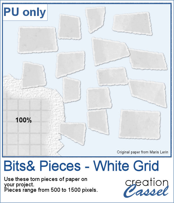 Bits & Pieces of paper in PNG format