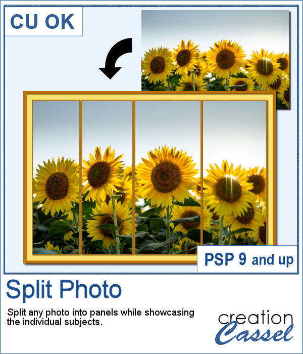 Split photo script for PaintShop Pro