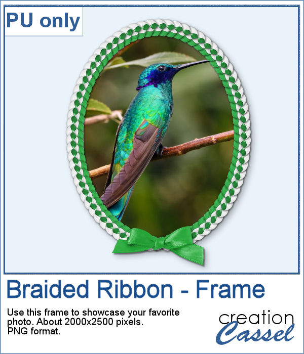 Braided Ribbon frame in PNG format