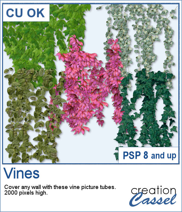 Vines picture tubes for PaintShop Pro