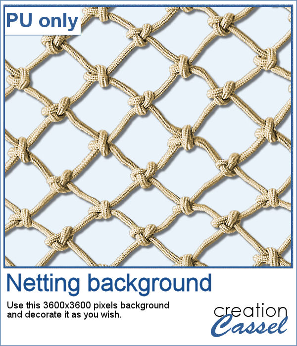 Netting background in png format