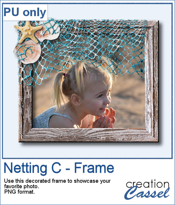 Netting frame
