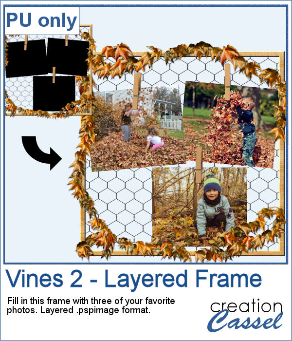 Vines frame for PaintShop Pro