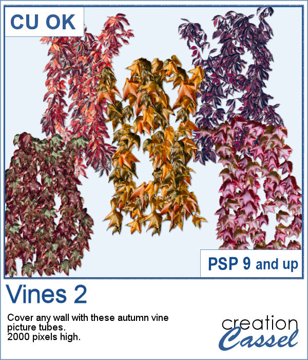 Vines picture tubes for PaintShop Pro