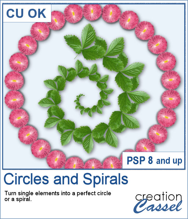 Circles and spirals script for PaintShop Pro
