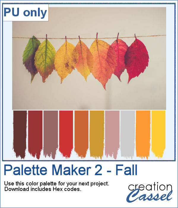 Fall color palette with hex code