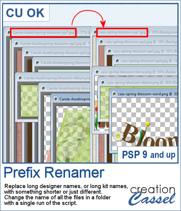 Prefix renamer script for PaintShop Pro