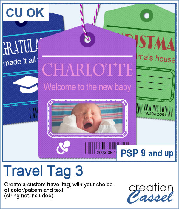 Travel tag script for PaintShop Pro