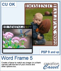 Word Frame 5 - PSP Script