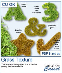 Grass Texture - PSP Script