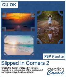 Slipped In Corners 2 - PSP Script