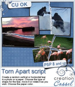 Torn Apart - PSP script
