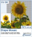 Shape Mosaic - PSP Script