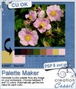 Palette Maker - PSP script