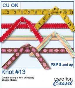 Knot #13 - PSP Script