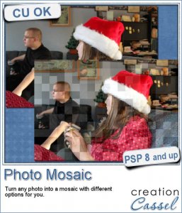 Photo Mosaic - PSP Script