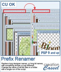 Prefix Renamer - PSP Script