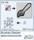 Brushes Resizer - PSP Script