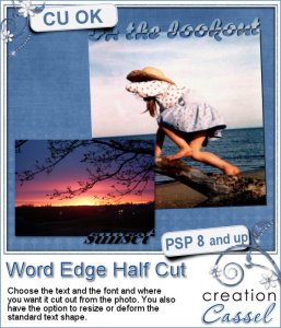 Word Edge Half Cutout - PSP script