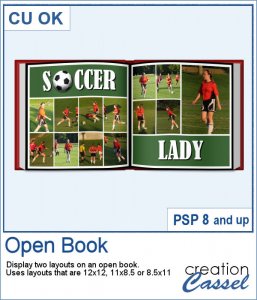 Open book - PSP script