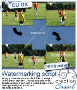 Watermarking - PSP Script