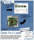 Open As A Layer - PSP Script