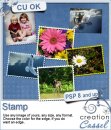 Stamp - PSP Script