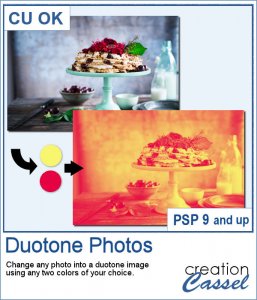 Duotone - PSP Script