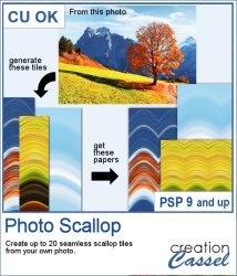 Photo Scallop - PSP Script Photo Scallop - PSP Script