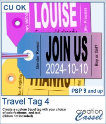 Travel Tag 4 - PSP Script