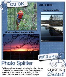 Photo Splitter - PSP Script