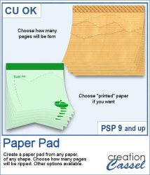 Paper Pad - PSP Script