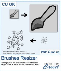 Brushes Resizer - PSP Script