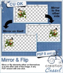 Mirror & Flip - PSP Scripts