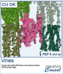 Vines - Picture tubes