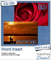 Word Insert - PSP Script