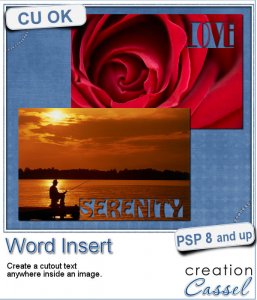 Word Insert - PSP Script