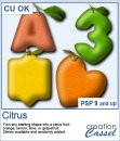 Citrus - PSP Script