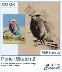 Pencil Sketch 2 - PSP Script