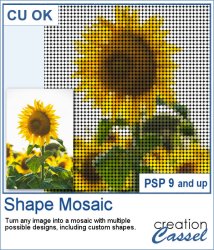 Shape Mosaic - PSP Script