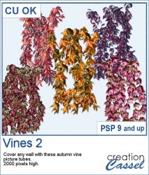 Vines 2 - Picture tubes