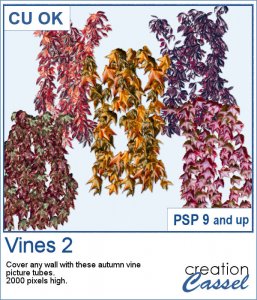 Vines 2 - Picture tubes