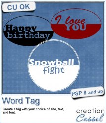 Word Tag - PSP Script