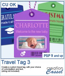 Travel Tag 3 - PSP Script