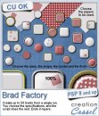 Brad Factory - PSP Script