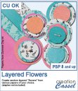 Layered Flowers - PSP Script