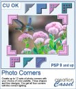 Photo Corners - PSP Script